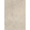 Arbeitsplatte '38356' hellgrau 4100 x 600 x 38 mm
