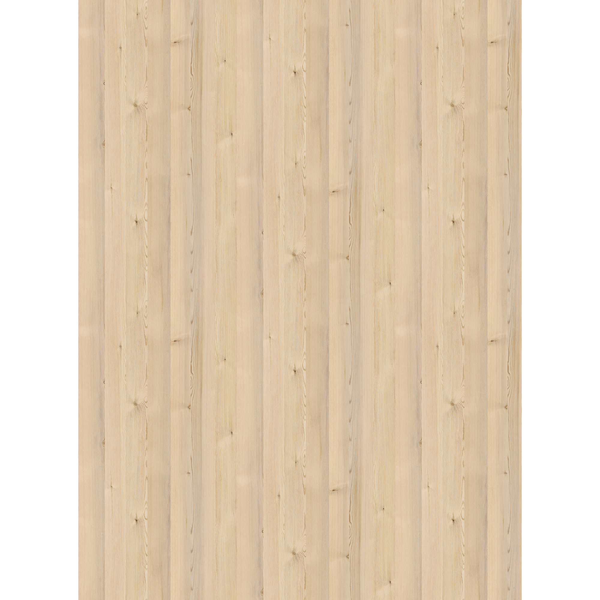 Arbeitsplatte 'Polar Pine 2405' 4100 x 600 x 38 mm