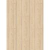 Arbeitsplatte 'Kiefer Polar Urus K2405' hellbraun 4100 x 900 x 38 mm