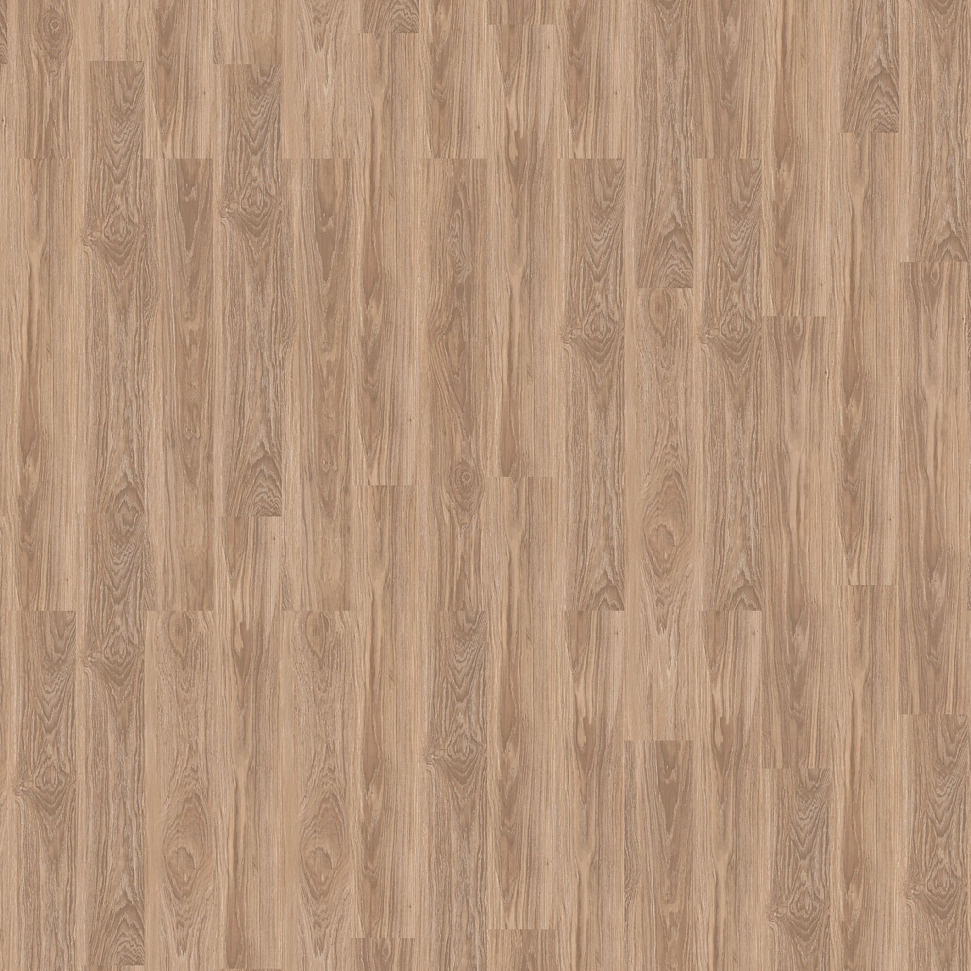 Holzfußleiste in Tan Oak