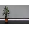 LED-Profil mit Pflanze im Topf