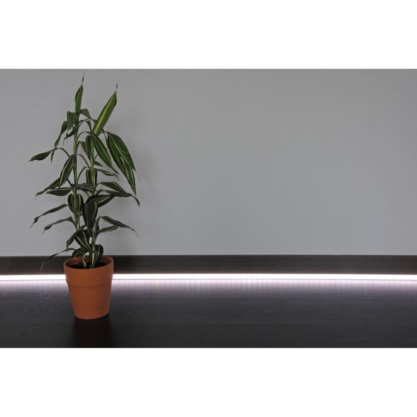 LED-Profil mit Pflanze im Topf