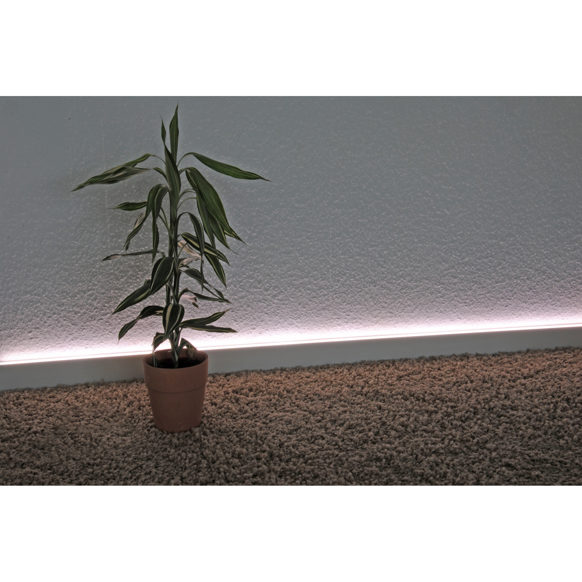LED-Sockelleiste mit Diffuser Uni Weiß 2500 x 70 x 19 mm + product picture