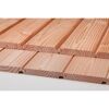 Profilholz Douglasie 19x121x2000mm