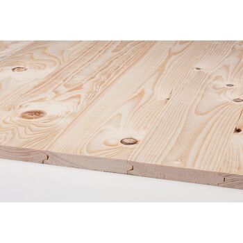 Rauspund Fichte/Tanne