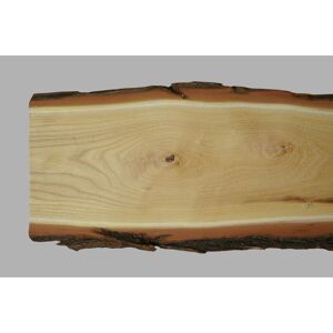Massivholzbrett Robinie FSC® geschliffen, unbesäumt 24 x 200 x 1200 mm