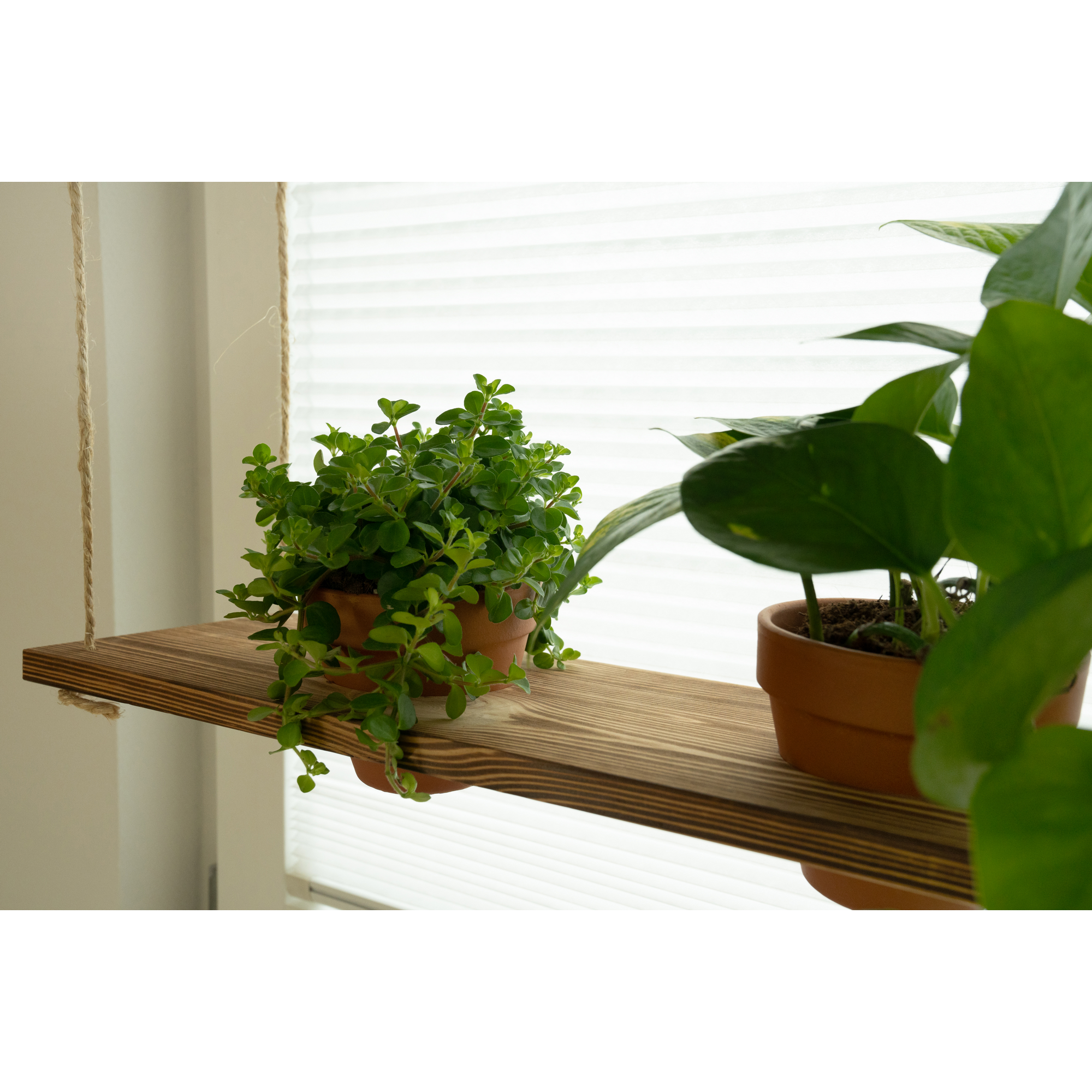 Leimholz 'Antik' Kiefer geflammt 400 x 2000 x 18 mm