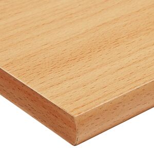 Regalboden "Buche" 16 x 2000 x 600 mm