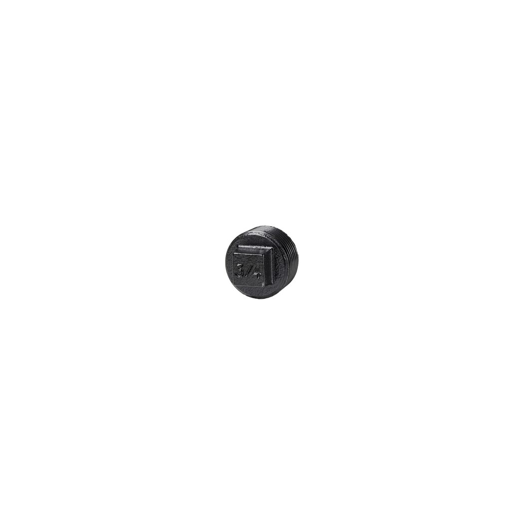 Blindstopfen für Regalsystem 'PIPE' 3/4" schwarz, 2 Stück