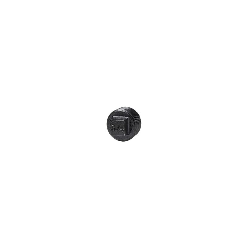 Blindstopfen für Regalsystem 'PIPE' 3/4" schwarz, 2 Stück