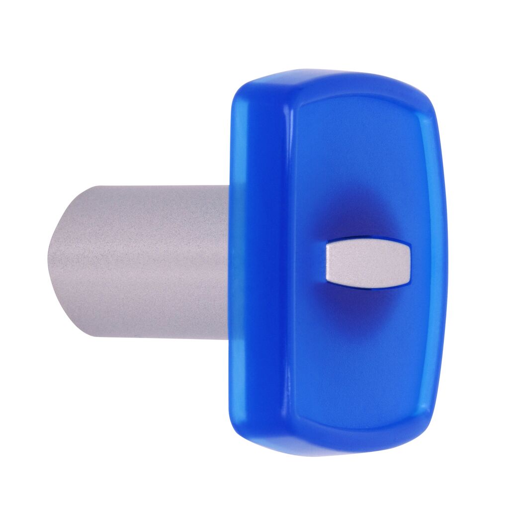 Blau-weißer Knopf