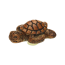 Verkleinertes Bild von Möbelknopf 'Schildkröte' braun
