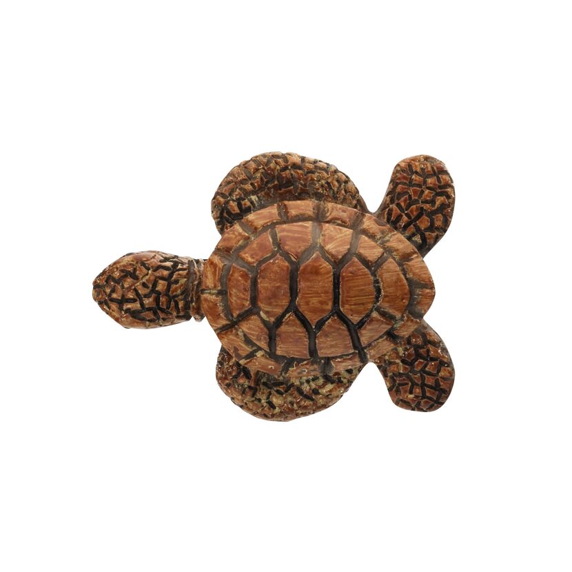 Brauner Knopf in Form einer Schildkröte
