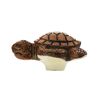 Schildkrötenförmiger Möbelknopf