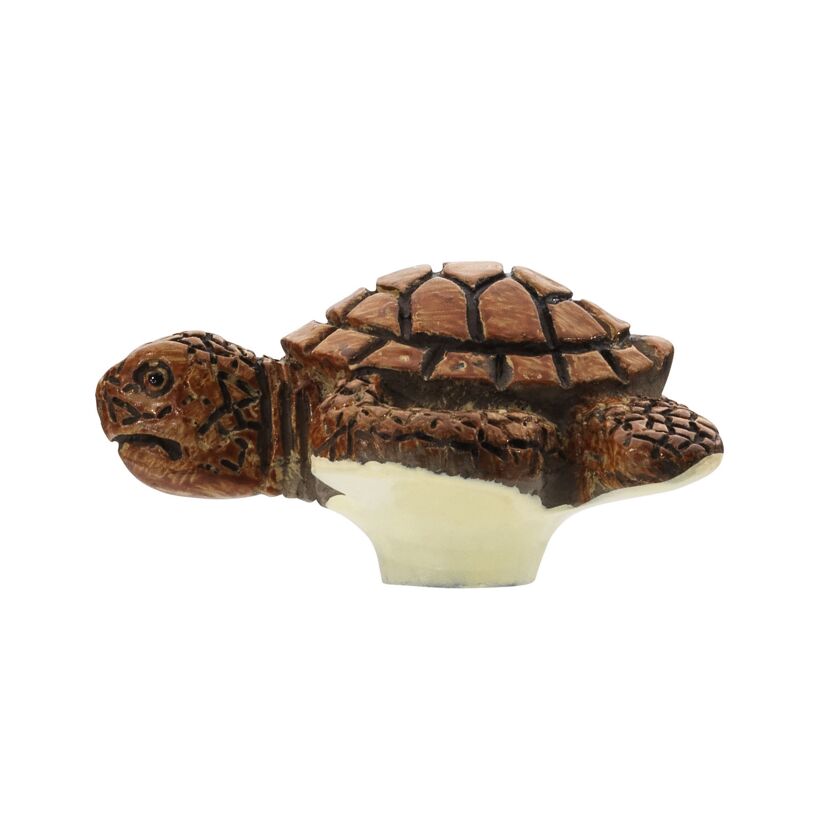 Schildkrötenförmiger Möbelknopf
