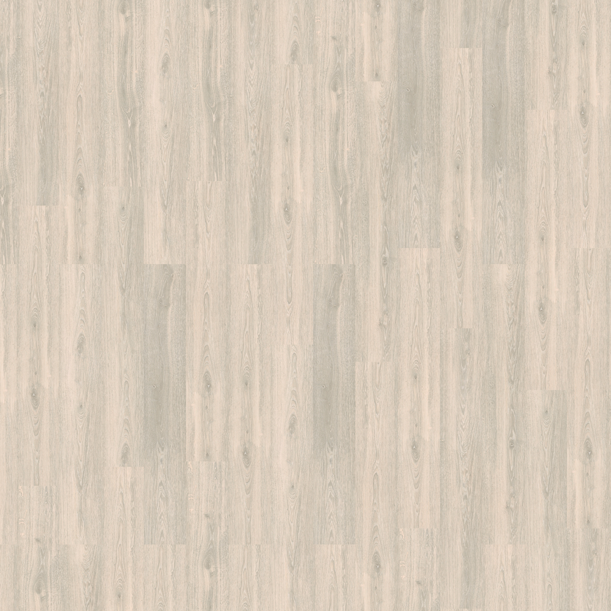 Vinylboden 'Comfort' Polar Oak beige grau 10,5 mm + product picture