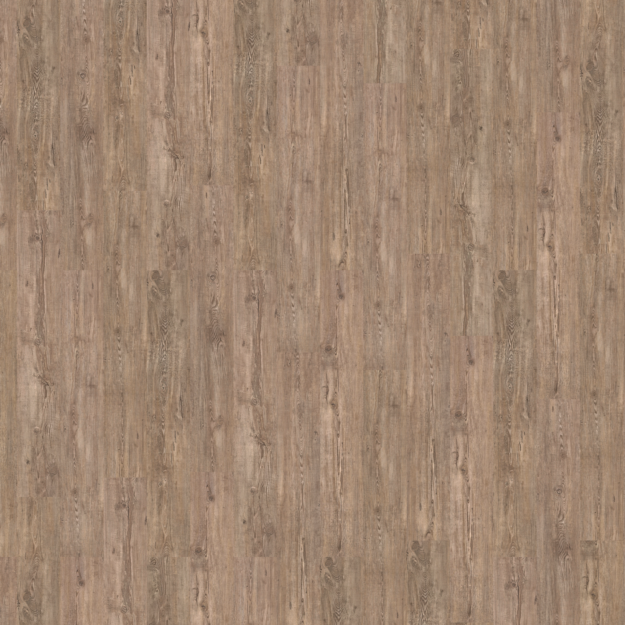 Sockelleiste Tuscan Pine braun 2400 x 60 x 15 mm + product picture