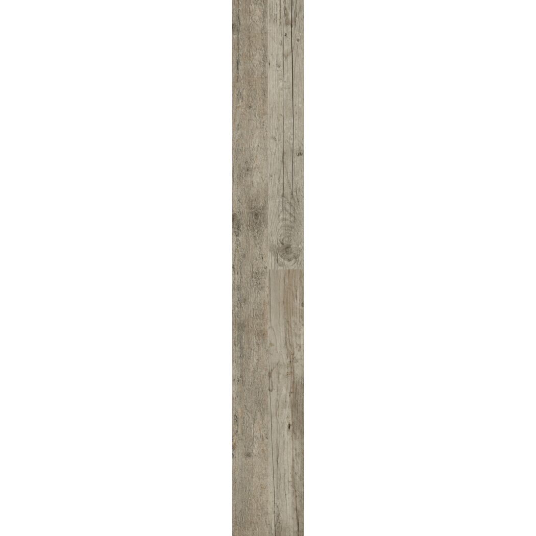Designboden Pinie piniefarben 4 mm