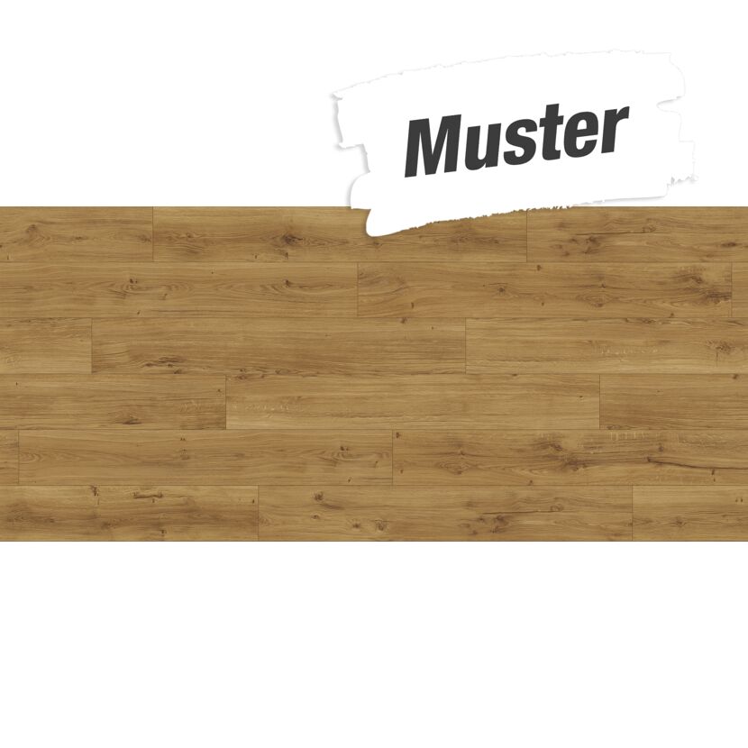 Handmuster zum Designboden 'Modular ONE' Eiche Spirit natur braun 8 mm