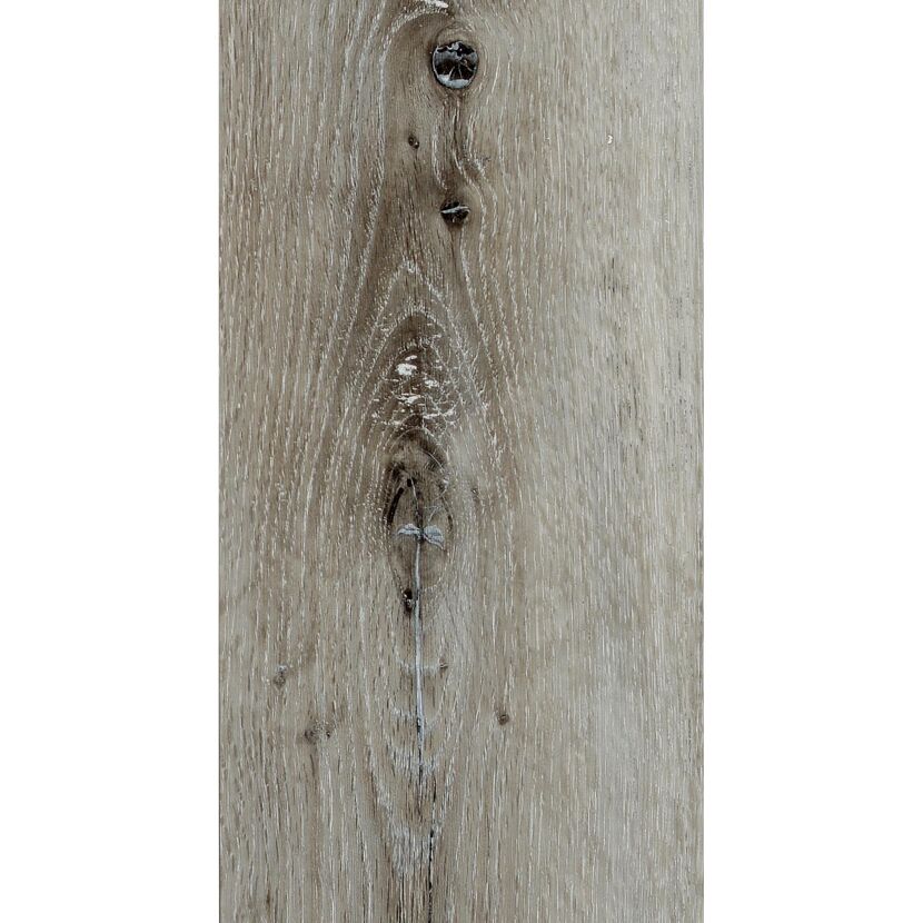 Vinylboden Silver Oak eichefarben hell 3,5 mm