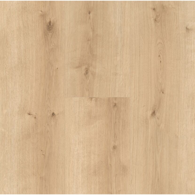 Designboden 'Modular ONE' Eiche Pure hell braun 8 mm