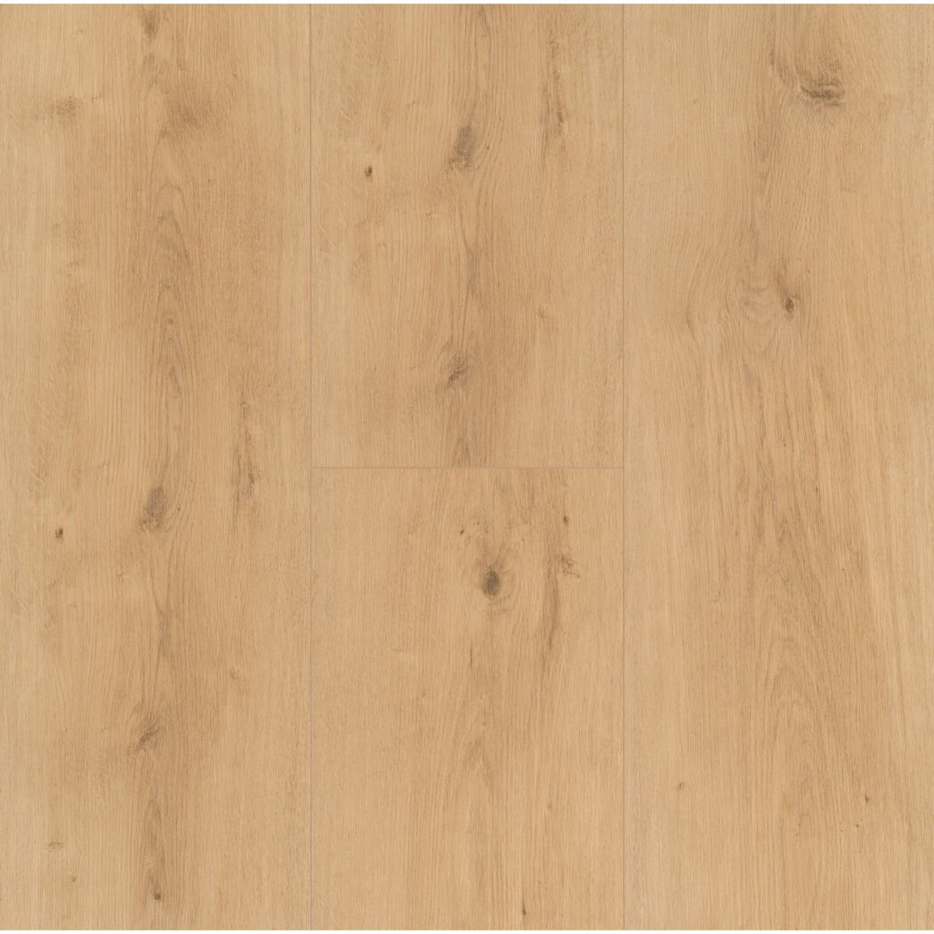 Modular ONE SD Eiche Pure natur