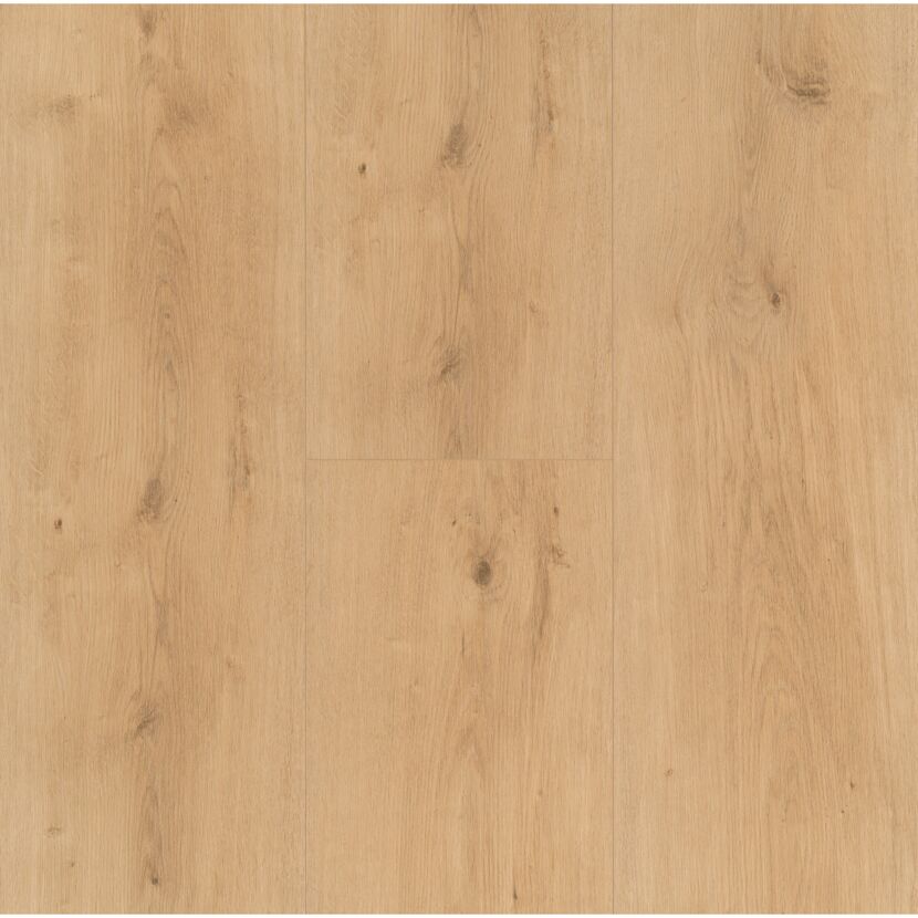 Modular ONE SD Eiche Pure natur