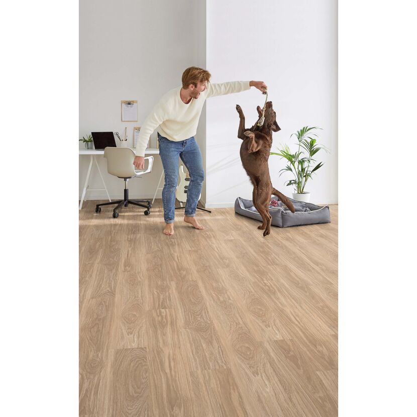 Person spielt mit Hund auf Vinylboden in Holzoptik