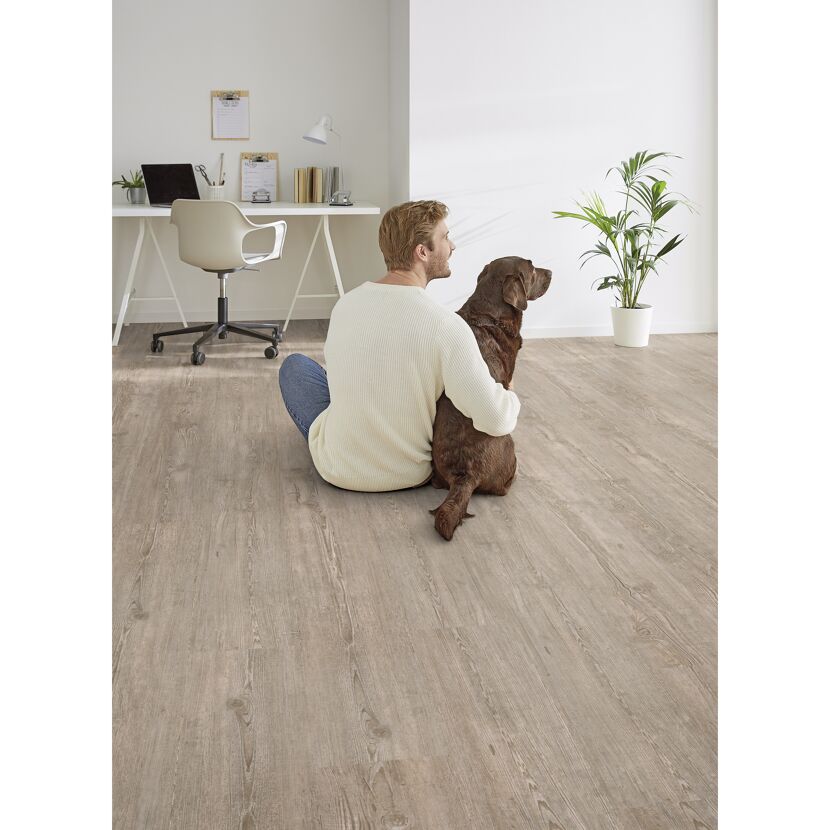 Person sitzt auf Vinyl-Fußbodenbelag Winter Pine und umarmt Hund