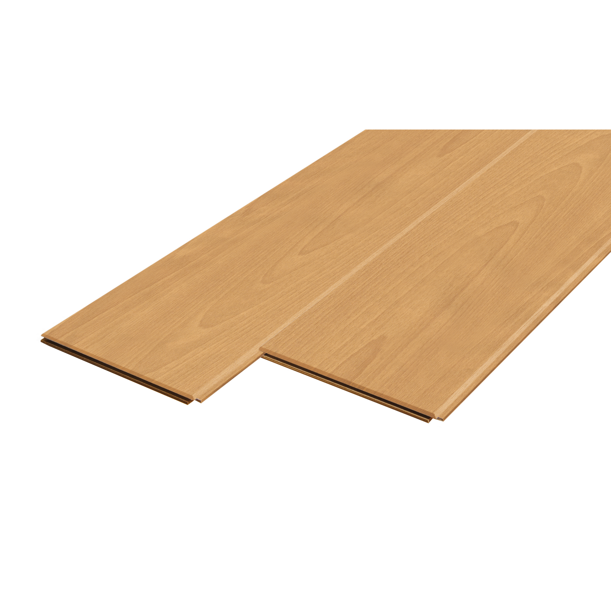 Paneele 'Quadro' Französische Buche 2000 x 147 x 10 mm