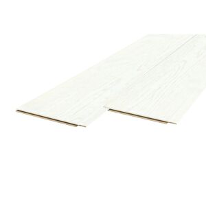 Paneele 'Vario Plus' Edelweiss 2200 x 150 x 10 mm