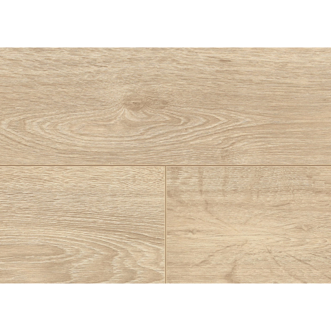 Bild von Laminat 'Dynamic XL' Eiche Chiaro hellbraun 8 mm