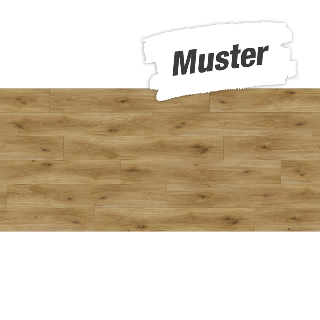 Bild von Handmuster zum Laminat 'Basic 200' Eiche Horizont natur eichefarben 7 mm