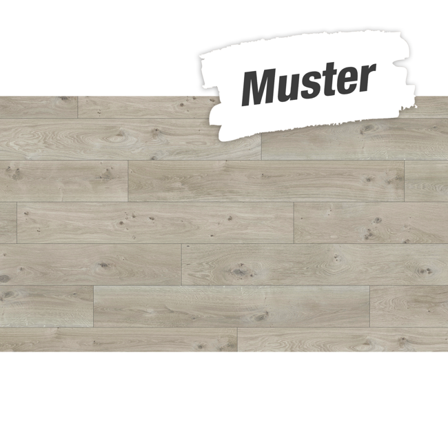 Bild von Handmuster zum Laminat 'Basic 200' Eiche natur grau 7 mm