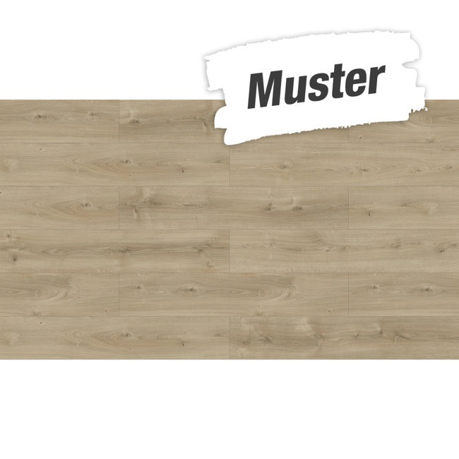 Bild von Handmuster zum Laminat 'Basic 600' Eiche Avant geschliffen eichefarben 8 mm
