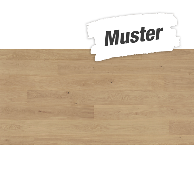 Bild von Handmuster zum Parkett 'Basic 11-5' Eiche Pure matt lackiert hellbraun 11,5 mm