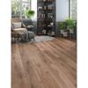 Laminat 'Home 8V' Eiche Various braun 8 mm