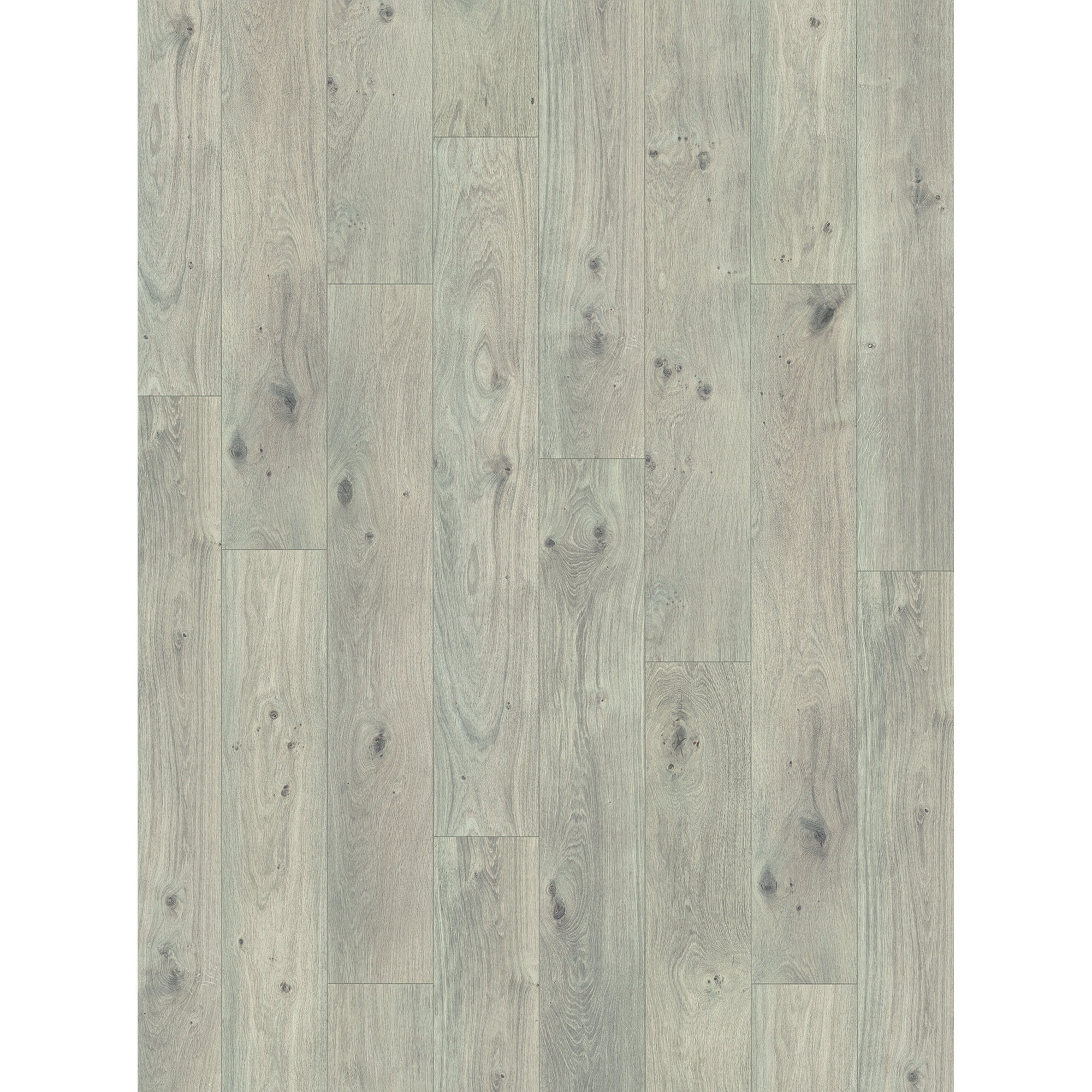 PARADOR Laminat Basic 400 - Eiche Natur Grau, Packung, Kantenimprägnierung, 1285 x 194 mm, Stärke: 8 mm