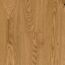 Parkett 'Basic 11-5' Eiche Classic naturgeölt braun 11,5 mm