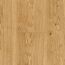 Parkett 'Basic 11-5' Eiche Rustikal matt braun 11,5 mm