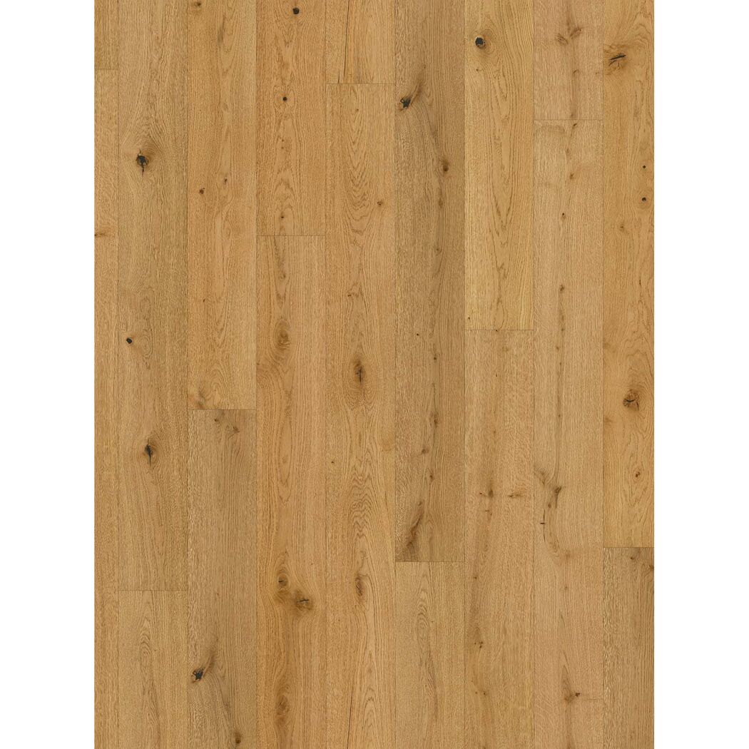 Parkett 'Classic 3060' Eiche naturgeölt plus braun 13 mm