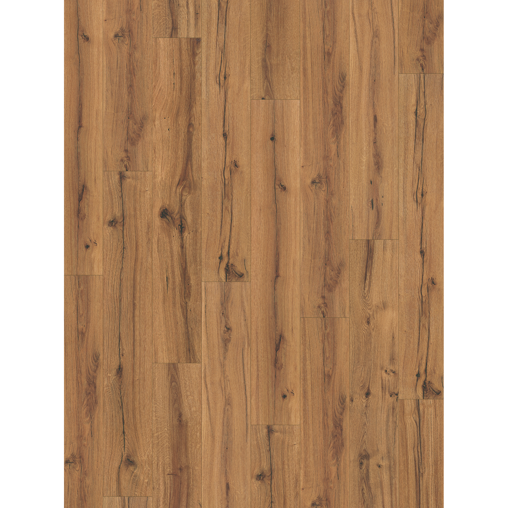 PARADOR Laminat Basic 400 - Eiche History, Packung, Kantenimprägnierung, 1285 x 194 mm, Stärke: 8 mm