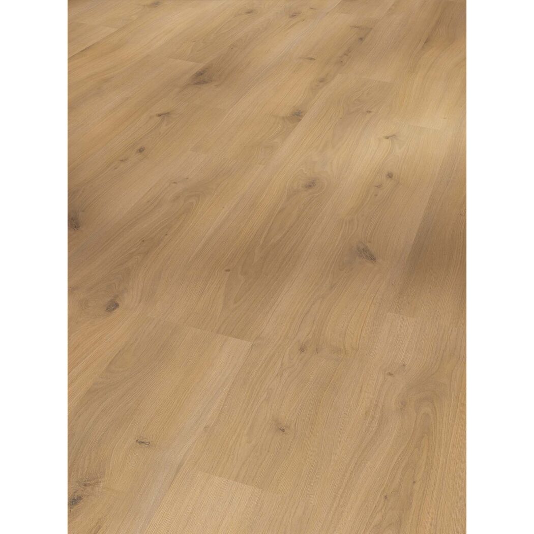 Laminat 'Basic 400' Eiche Horizont Natur eichefarben 8 mm