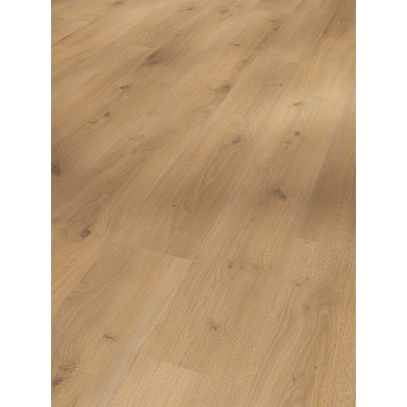 Laminat 'Basic 400' Eiche Horizont Natur eichefarben 8 mm