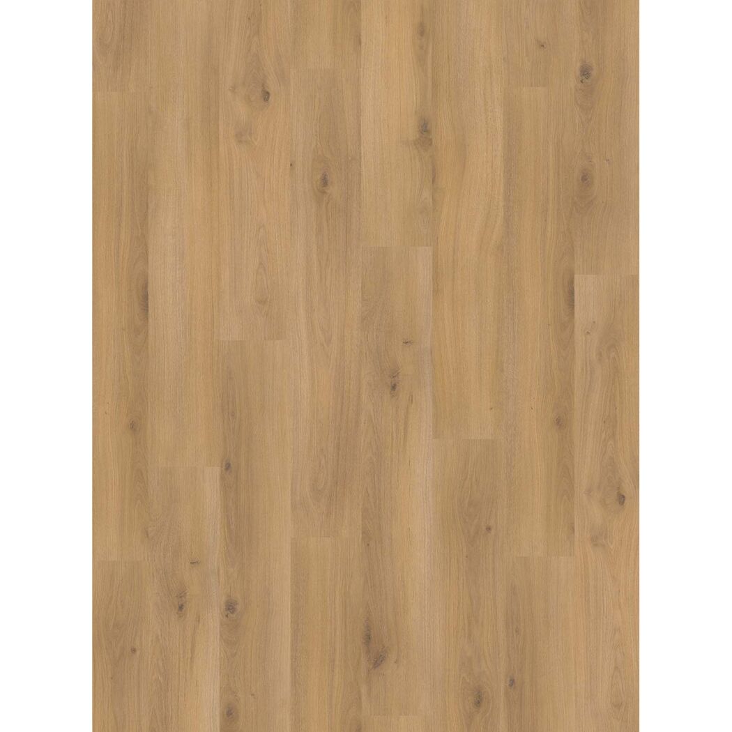 Laminat 'Basic 400' Eiche Horizont Natur eichefarben 8 mm