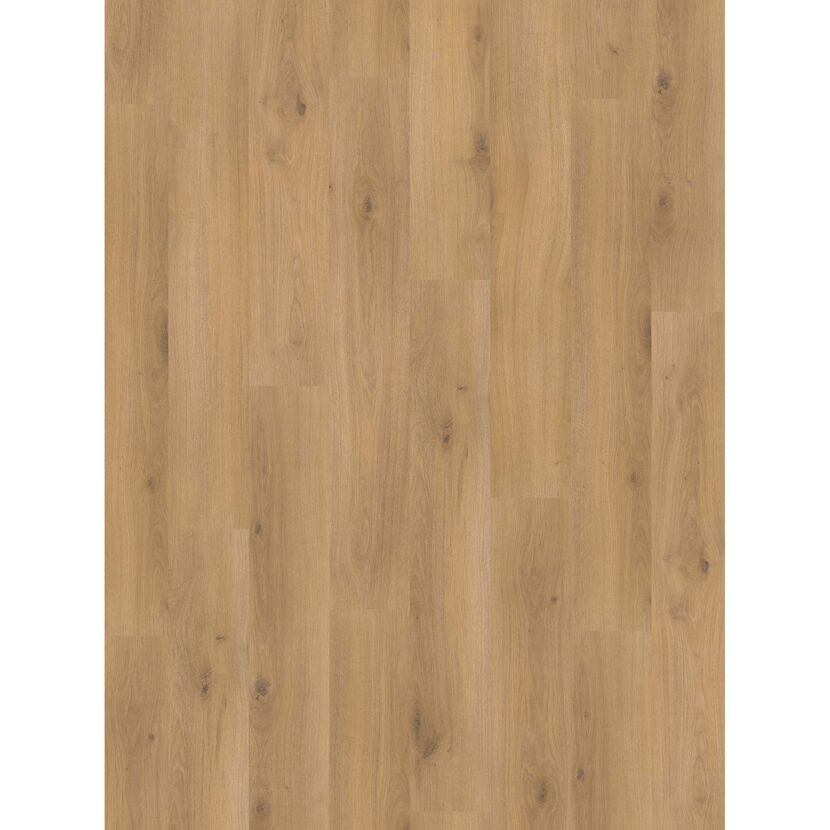 Laminat 'Basic 400' Eiche Horizont Natur eichefarben 8 mm
