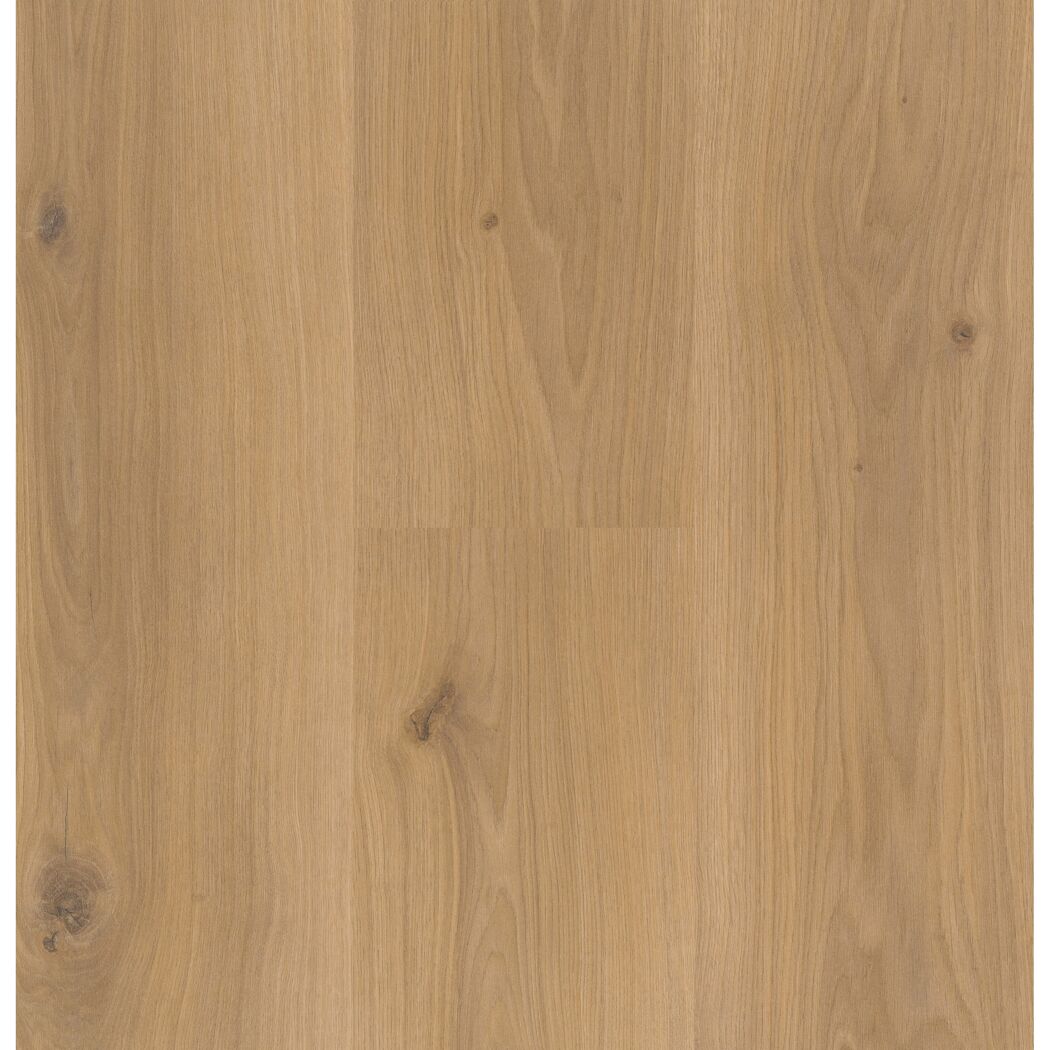 Laminat 'Basic 400' Eiche Horizont Natur eichefarben 8 mm