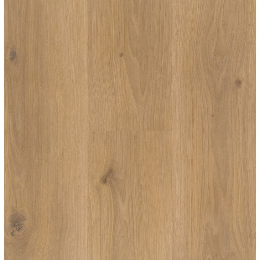 Laminat 'Basic 400' Eiche Horizont Natur eichefarben 8 mm