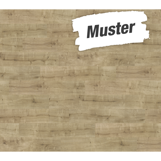 Bild von Handmuster zum Laminat 'Basic 600' Eiche geschliffen eichefarben 8 mm