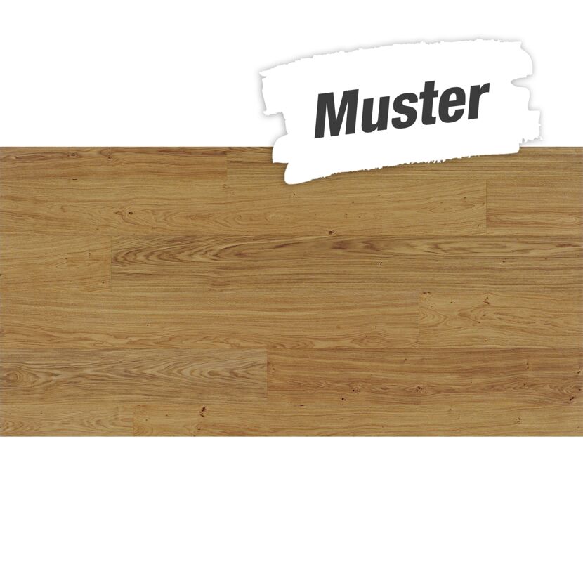 Handmuster zum Parkett 'Basic 11-5' Eiche natur matt lackiert braun 11,5 mm